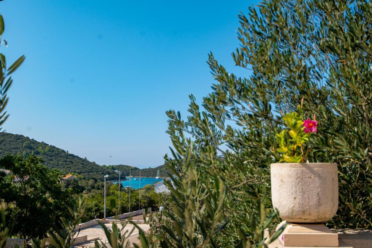 Villa Ana Zrnovo Luaran gambar